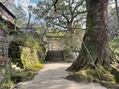 仁比山神社の建物その他