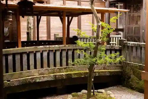 諏訪大社(長野県)