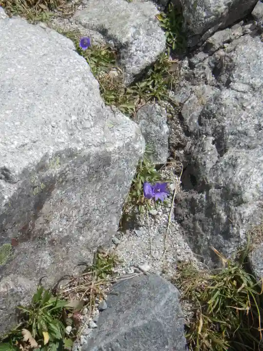 雄山神社峰本社の自然