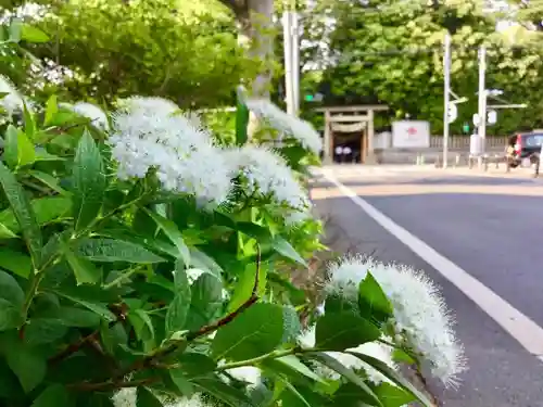 川越氷川神社の自然