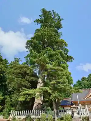 彌美神社(福井県)