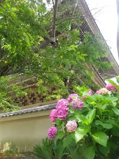 光明寺のその他建物