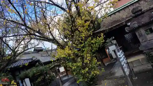 下御霊神社(京都府)