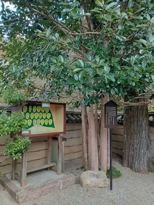 法起院(奈良県)