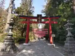 大崎八幡宮の鳥居