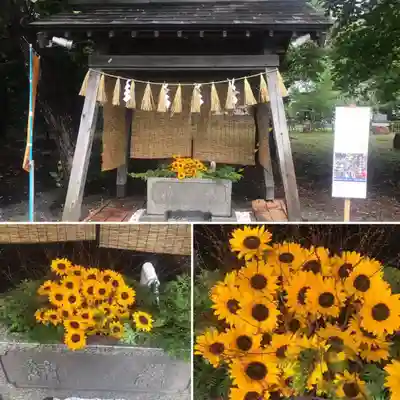 錦山天満宮の手水舎