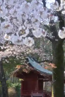 伊豆山神社(静岡県)