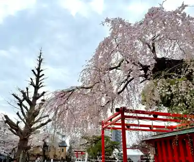 榴岡天満宮の{uncategorized: "未分類", other: "その他", undefined: "問題あり", building: "その他建物", grave: "お墓", sacred_gate: "鳥居", guardian: "狛犬", statue: "像", buddha: "仏像", history: "歴史", nature: "自然", garden: "庭園", animal: "動物", pagoda: "塔", temizu: "手水舎", mountain_gate: "山門・神門", sanctuary: "本殿・本堂", subordinate: "末社・摂社", art: "芸術", scenery: "景色", jizo: "地蔵", ema: "絵馬", goshuin: "御朱印", omikuji: "おみくじ", items: "授与品その他", amulet: "お守り", goshuincho: "御朱印帳", eats: "食事", festival: "お祭り", votive_dance: "神楽", shichigosan: "七五三参", wedding: "結婚式", experience: "体験その他", initially: "初詣", around: "周辺", anti_infection: "感染症対策"}