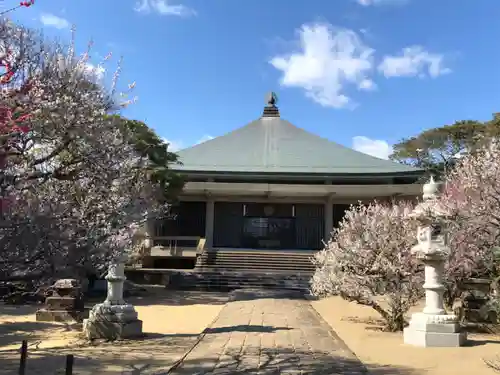 浄国寺の本殿・本堂