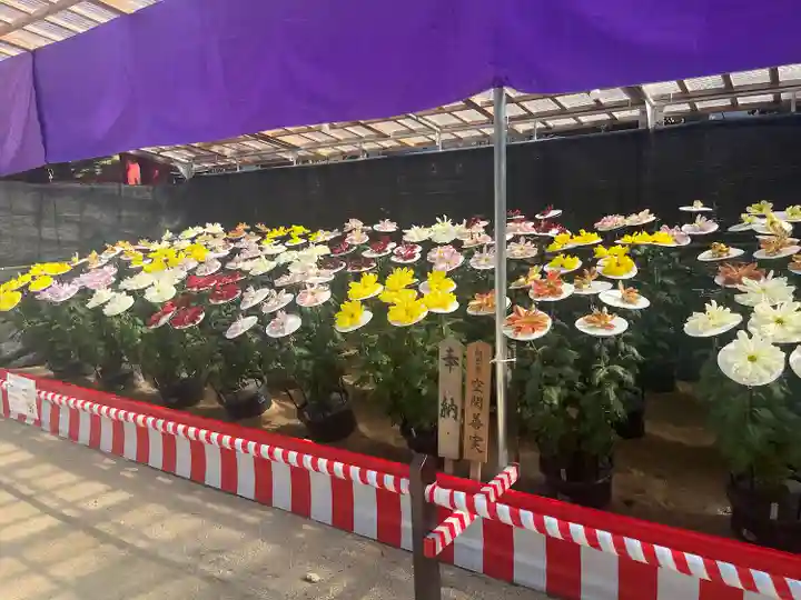 太宰府天満宮の芸術