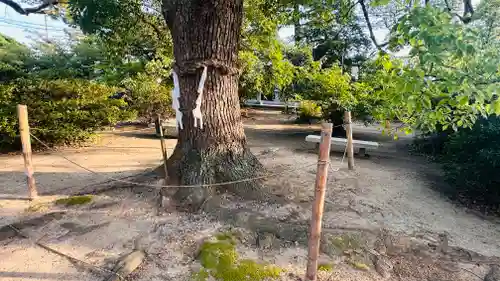 兵主神社(大阪府)