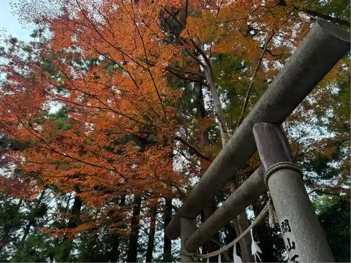 秩父御嶽神社(埼玉県)