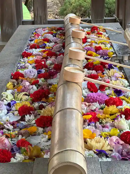 群馬県護国神社(群馬県)