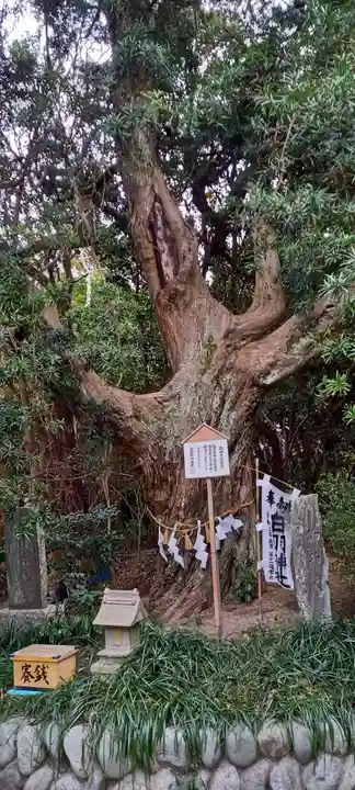 白羽神社のその他建物