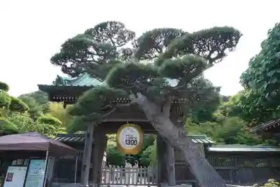長谷寺の山門・神門