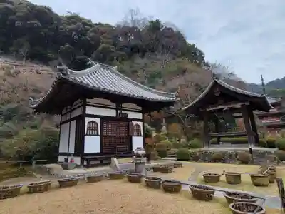 三室戸寺(京都府)