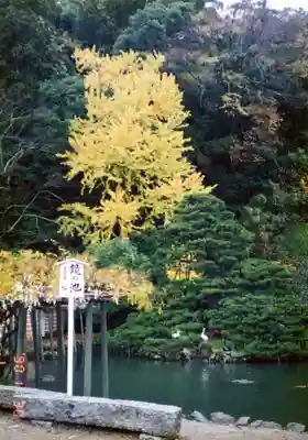 出雲大社(島根県)