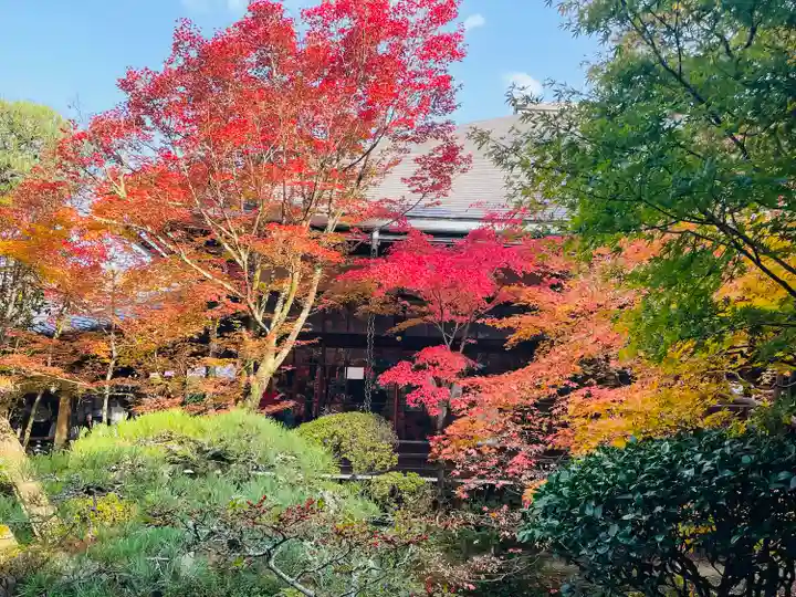 禅林寺(永観堂)(京都府)