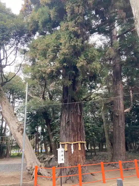 息栖神社(茨城県)
