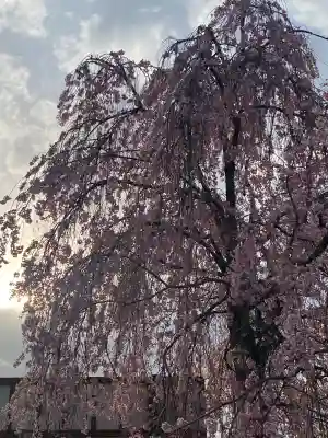 懐古神社(長野県)
