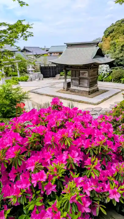 時宗総本山 遊行寺(正式:清浄光寺)の{uncategorized: "未分類", other: "その他", undefined: "問題あり", building: "その他建物", grave: "お墓", sacred_gate: "鳥居", guardian: "狛犬", statue: "像", buddha: "仏像", history: "歴史", nature: "自然", garden: "庭園", animal: "動物", pagoda: "塔", temizu: "手水舎", mountain_gate: "山門・神門", sanctuary: "本殿・本堂", subordinate: "末社・摂社", art: "芸術", scenery: "景色", jizo: "地蔵", ema: "絵馬", goshuin: "御朱印", omikuji: "おみくじ", items: "授与品その他", amulet: "お守り", goshuincho: "御朱印帳", eats: "食事", festival: "お祭り", votive_dance: "神楽", shichigosan: "七五三参", wedding: "結婚式", experience: "体験その他", initially: "初詣", around: "周辺", anti_infection: "感染症対策"}