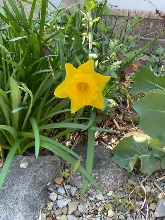 三輪神社(愛知県)