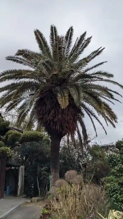 観音寺(愛知県)