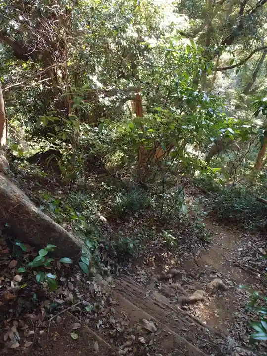 縣神社(千葉県)
