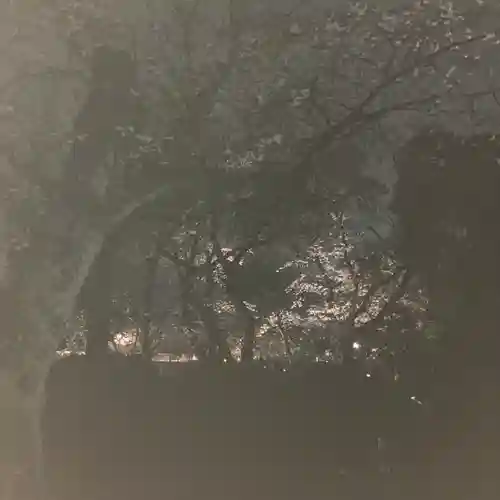 富士山本宮浅間大社(静岡県)