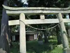 琴平神社の鳥居