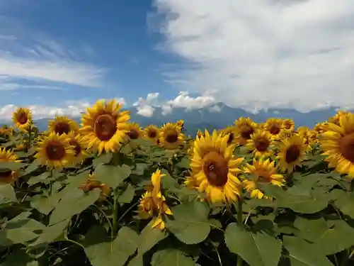 身曾岐神社(山梨県)