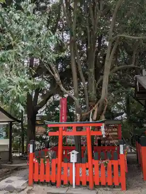 賀茂御祖神社（下鴨神社）の末社・摂社
