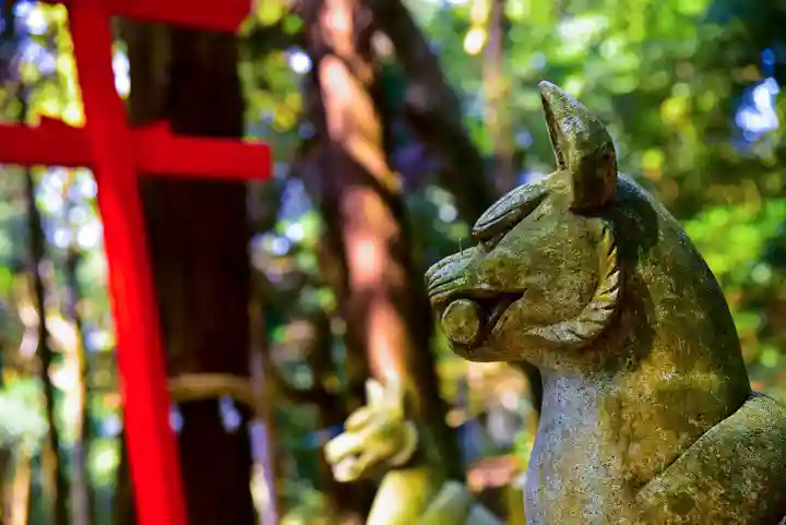 鹿児島神宮の狛犬