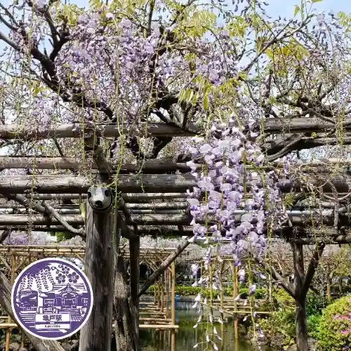 亀戸天神社(東京都)