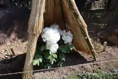 祐徳稲荷神社(佐賀県)