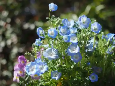 今市報徳二宮神社(栃木県)