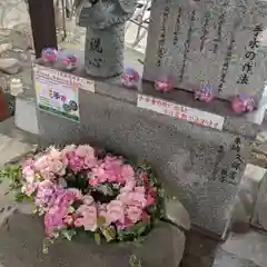 手稲神社(北海道)