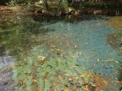 諏訪神社(神奈川県)