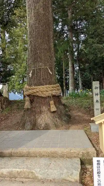 徳佐八幡宮(山口県)
