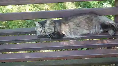 山梨縣護國神社(山梨県)