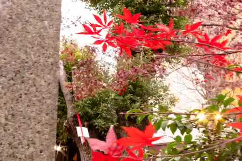 三輪神社(愛知県)