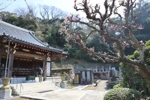 来迎寺（西御門）(神奈川県)