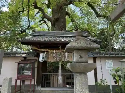 新熊野神社(京都府)