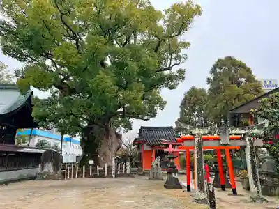 與賀神社のその他建物