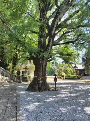 和霊神社(愛媛県)