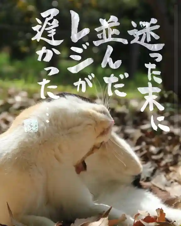 専念寺(大阪府)