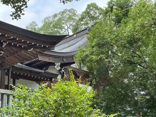 加納天満宮(岐阜県)