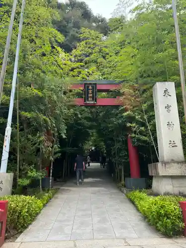 來宮神社(静岡県)