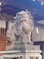 京都ゑびす神社の狛犬