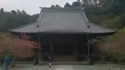 妙本寺の{uncategorized: "未分類", other: "その他", undefined: "問題あり", building: "その他建物", grave: "お墓", sacred_gate: "鳥居", guardian: "狛犬", statue: "像", buddha: "仏像", history: "歴史", nature: "自然", garden: "庭園", animal: "動物", pagoda: "塔", temizu: "手水舎", mountain_gate: "山門・神門", sanctuary: "本殿・本堂", subordinate: "末社・摂社", art: "芸術", scenery: "景色", jizo: "地蔵", ema: "絵馬", goshuin: "御朱印", omikuji: "おみくじ", items: "授与品その他", amulet: "お守り", goshuincho: "御朱印帳", eats: "食事", festival: "お祭り", votive_dance: "神楽", shichigosan: "七五三参", wedding: "結婚式", experience: "体験その他", initially: "初詣", around: "周辺", anti_infection: "感染症対策"}